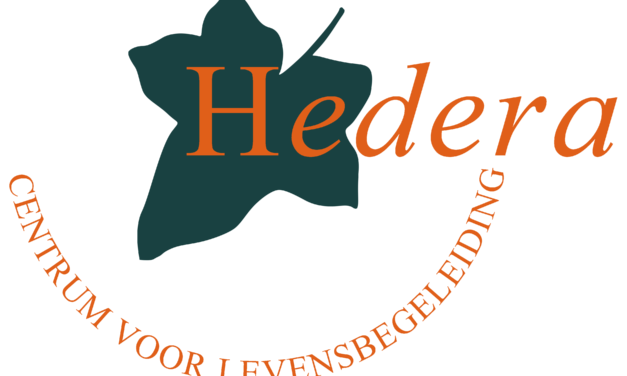 Ons verhaal over het logo van Hedera